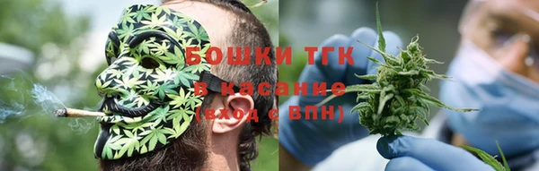 прущие грибы Елабуга