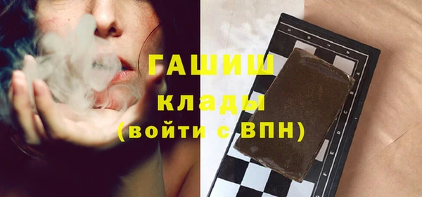 прущие грибы Елабуга