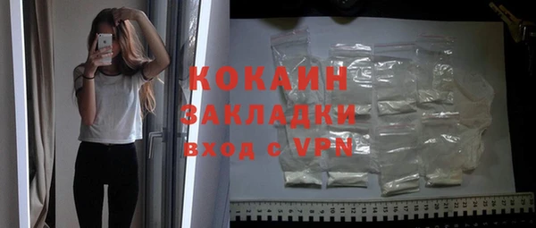 прущие грибы Елабуга
