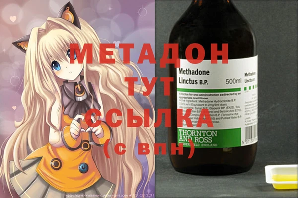 прущие грибы Елабуга
