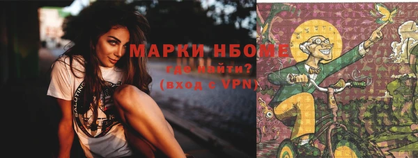 прущие грибы Елабуга