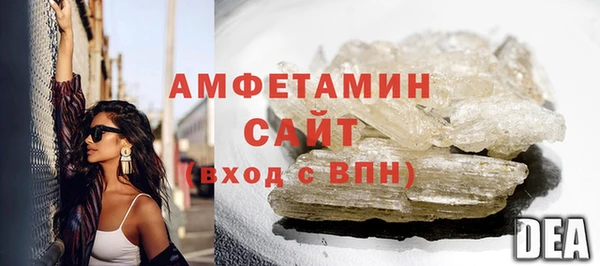 прущие грибы Елабуга