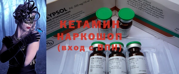 прущие грибы Елабуга