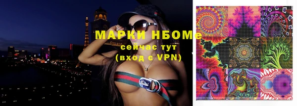 прущие грибы Елабуга