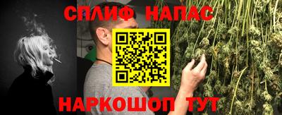 прущие грибы Волгодонск