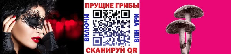 цены   Зерноград  Псилоцибиновые грибы Cubensis 