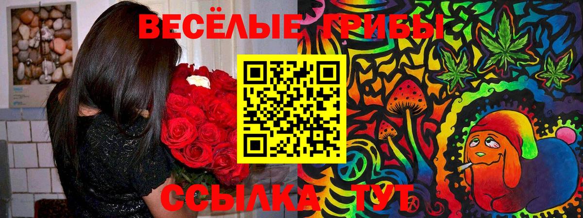 Галлюциногенные грибы мицелий  Вход с VPN  Псилоцибиновые грибы прущие грибы  Зерноград 