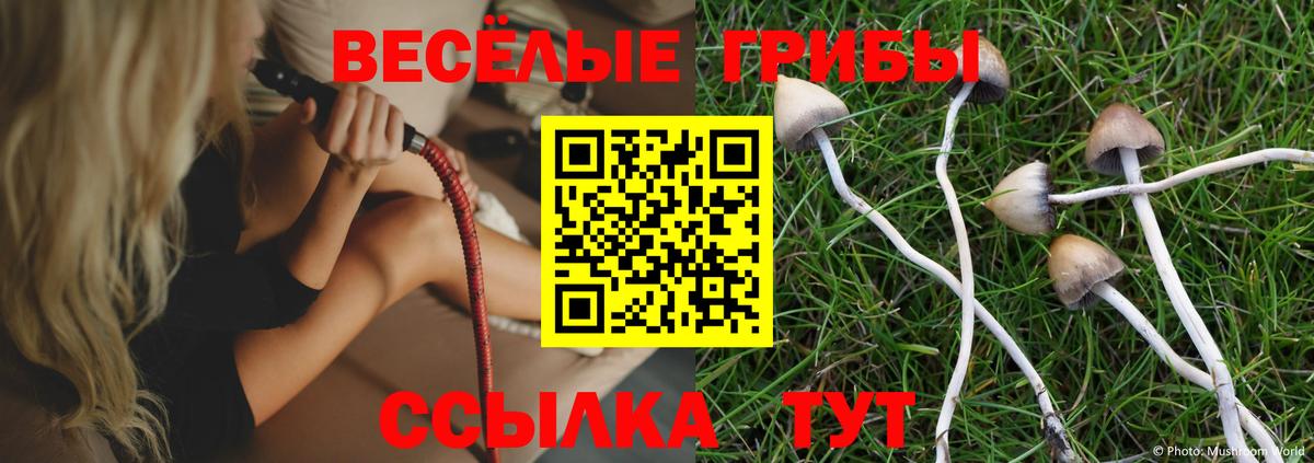 Галлюциногенные грибы Psilocybe  Зерноград 